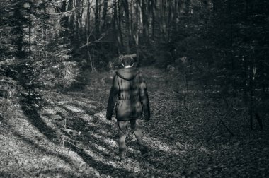 Travel guy walk man through forest. Rear view. Black and white photo. 