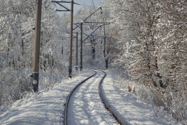 Railway track in the middle of a snowy forest. Trees are covered with snow. Winter season. Travel during the winter.