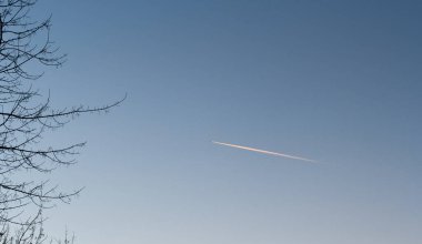The plane flies in the blue sky. Leafless branches of trees.