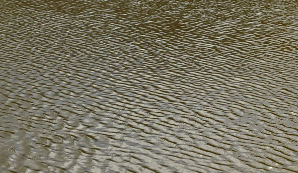 Texture Greenish Water Small Waves — Fotografia de Stock
