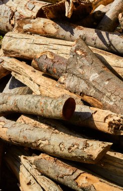 Kıyılmış yakacak odun günlükleri yığını.