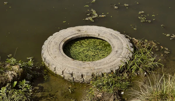 Λαστιχένιος Τροχός Έπεσε Στο Νερό Τροχός Στο Νερό Περιβαλλοντική Ρύπανση — Φωτογραφία Αρχείου
