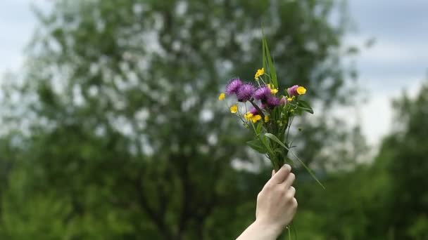 Bouquet Fleurs Sauvages Dans Main Une Fille — Video