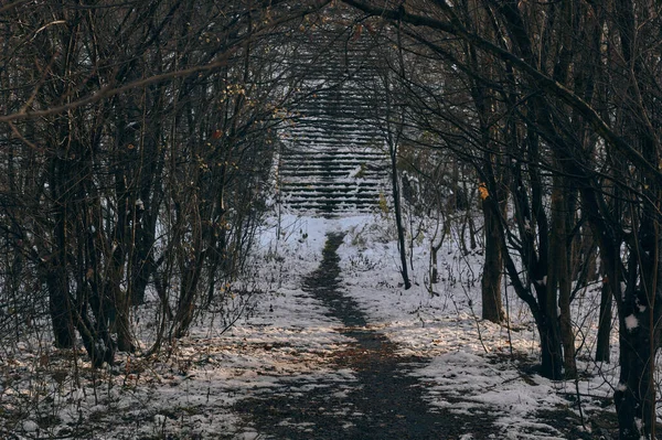 冬天的时候 楼梯在树枝中间的雪地里 有选择的重点 — 图库照片