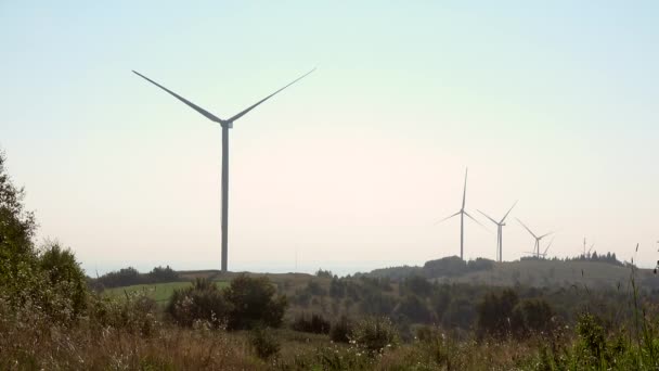 Windmolens Niet Werkende Windturbines Wiegenmolens Natuur — Stockvideo