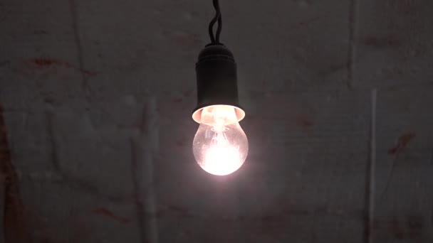 目覚ましい光がついている 白熱電球が点灯し 光が点灯した 省エネの電球ではない — ストック動画