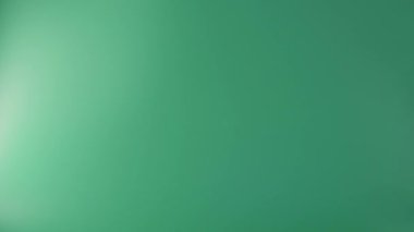 woman hands holds out a Bitcoin coin. Concept virtual investments cryptocurrencies