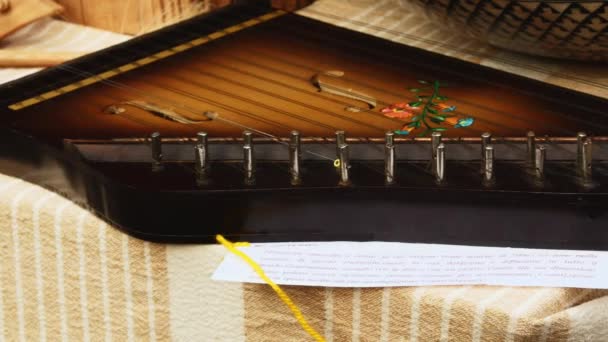 Европейская Историческая Средневековая Реконструкция Крупным Планом Снимок Небольшого Музыкального Инструмента — стоковое видео