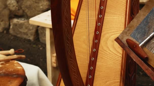 Historische Europese Middeleeuwse Enactment Close Opname Van Muziekinstrument Harp Tentoongesteld — Stockvideo