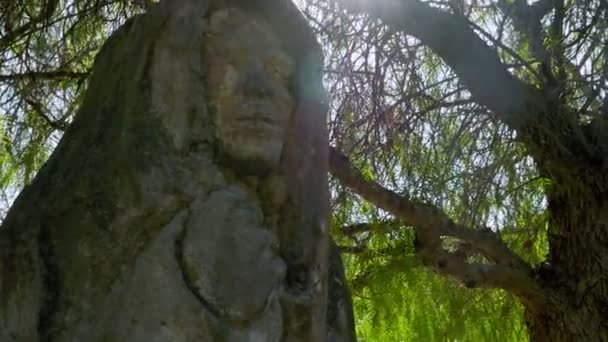 Estátua Pedra Antiga Virgem Maria Uma Floresta Luz Sol Destino — Vídeo de Stock