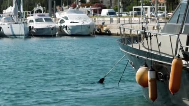 Port Coast City Cagliari Sardinia Italy Boats Moored Pier Summer — Stock Video