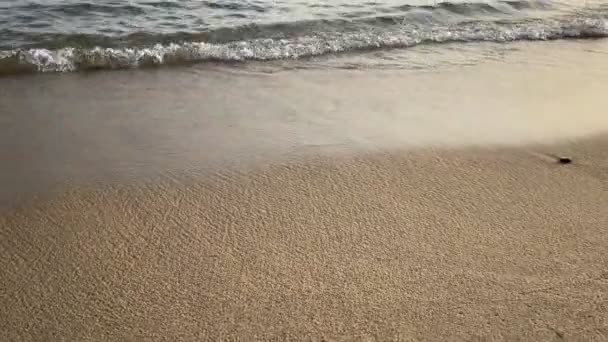 夏の日没の風光明媚なバックライトビーチ — ストック動画