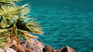 Rüzgarda savrulan yapraklarla... Akdeniz kıyısındaki kayalıklarda... rüzgarlı bir yaz gününde...