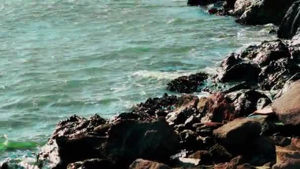 Deniz Kıyısının Yüksek Kontrastlı Güneşli Görüntüsü — Stok video