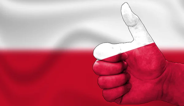 Polonyalı bayrağıyla onaylanmış bir el. Bayrak arkaplan alanı bulanık olan resim, alanı kopyala