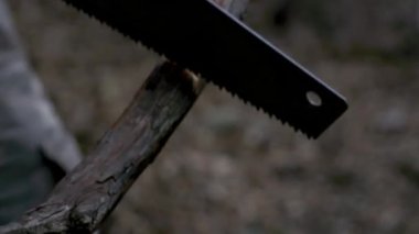 close-up shot of hand saw cutting a branch outdoors during garden maintenance activity, gardening and tree care profession or woodcutter