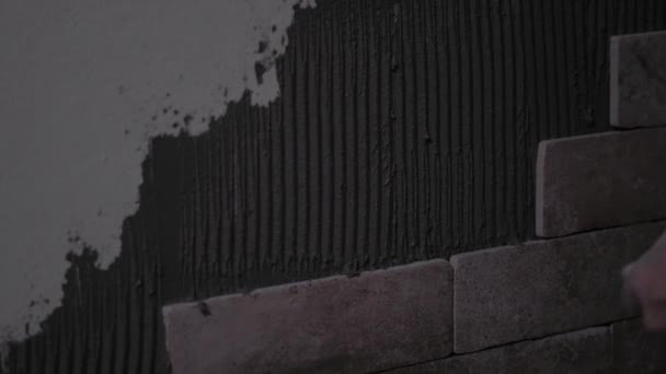 Primo Piano Lavoratore Ceramista Posa Piastrelle Sopra Colla Cemento Muro — Video Stock