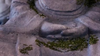 İç dekorasyon için bir kitaplığa yakın çekim Buda heykeli. Ev eşyaları, maneviyat, zen barışı.