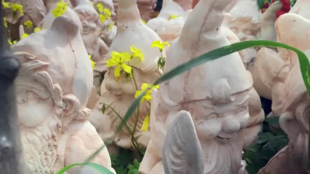 Gros Plan Divers Nains Jardin Plâtre Blanc Décoration Jardin Bienvenue — Video