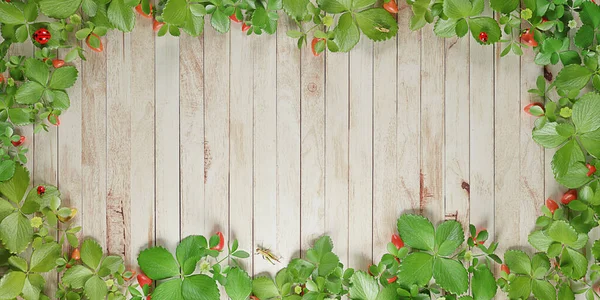 background Wood floor leaf frame vintage style plank covered with green leaves Plank with fresh branches leaves border 3D illustration Strawberry tree