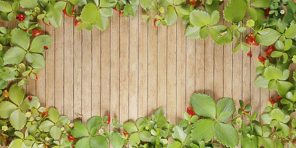 background Wood floor leaf frame vintage style plank covered with green leaves Plank with fresh branches leaves border 3D illustration Strawberry tree