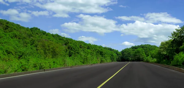 Country Road Long Road Horizon Side Road Full Trees — Stock Photo, Image