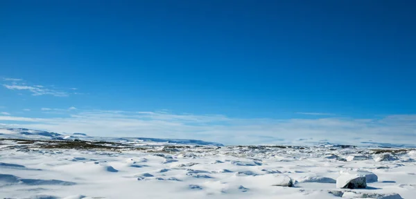 北極南極氷床アイスバーグ3Dイラスト — ストック写真
