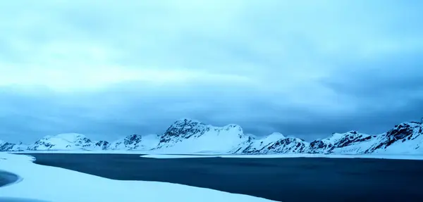 Északi Sark Antarktisz Jégpadló Jéghegy Illusztráció — Stock Fotó