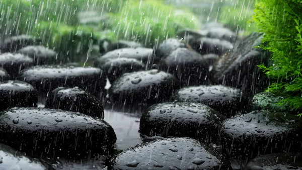 Deszcz Ogrodzie Japońskim Zen Stylu Ilustracji — Zdjęcie stockowe
