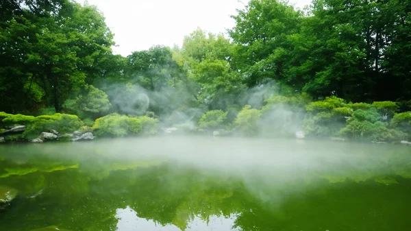 Deszcz Ogrodzie Japońskim Zen Stylu Ilustracji — Zdjęcie stockowe