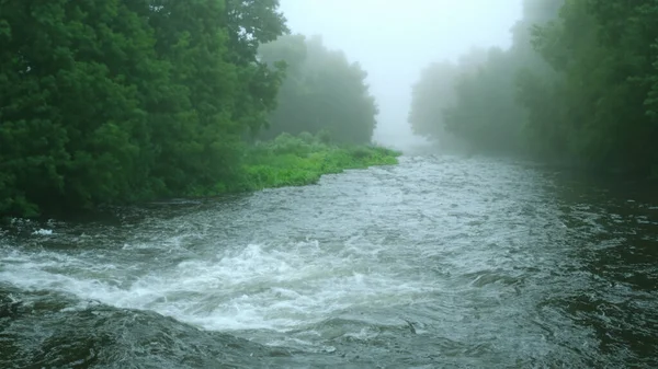 Ruisseau Eau Dans Nature Rivière Saison Des Pluies Brume Froide — Photo
