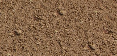 yüzey, zemin, detaylar, toprak, yüzey