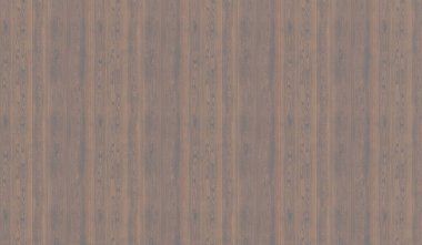 wood grain wood background bark texture 3D illustration clipart