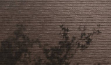 Tahta zemin gölgeli, dalların yansıması, üç boyutlu illüstrasyon.