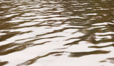 Dalgalı su yüzeyi, su yüzeyinde yansıma, arka plan, 3 boyutlu illüstrasyon