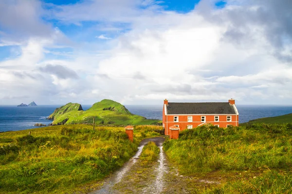 Krajobraz Wiejski Pastwiskami Irlandii Wysokiej Jakości Zdjęcie — Zdjęcie stockowe