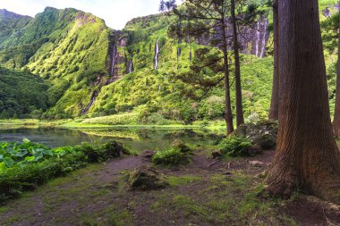 Flores Island Azores manzara. Şelalenin Pozo da Alagoinha. Portekiz. 
