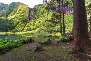 Azores landscape in Flores island. Waterfalls in Pozo da Alagoinha. Portugal.  clipart