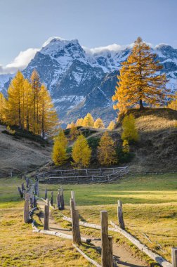 Alpe Veglia ve Piedmont, İtalya 'daki Alpe Devero Doğal Parkı' nda Crampiolo 'ya yürüyüş yolu. Yüksek kalite fotoğraf