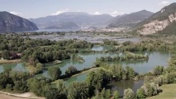 Torbiere Del Sebino Franciacorta Lombardy Talya Nın Hava Görüntüsü — Stok video