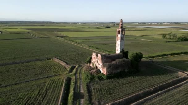 小麦畑の真ん中に放棄された教会の空中ビューを背景に上昇フィールド ピードモントのノバラ ストック動画