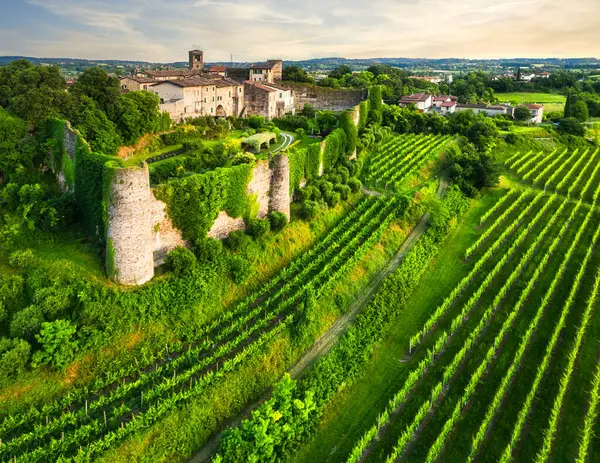 Brescia ili, Lombardy, İtalya 'nın tarihi Pozzolengo Kalesi' nin havadan görünüşü. 