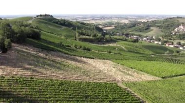 Oltrepo Pavese, Pavia, Lombardy, İtalya 'daki bir tepe köyündeki üzüm bağlarının hava manzarası.. 