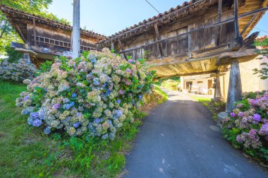 İspanya, Asturias 'taki Sietes köyünde tipik Asturian horreos.. 