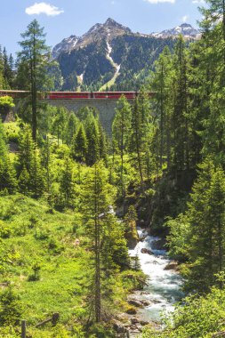 Schmittnertobel Viyaduct 'taki Buzul Ekspresi Landwasser Viyaduct, Filisur, İsviçre.