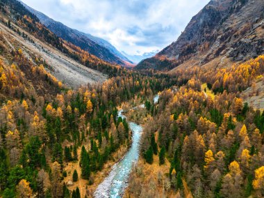 Val Roseg 'deki Sonbahar Renkleri' nin Hava Görüntüsü. İsviçre Alpleri, Pontresina, Graubunden Kantonu, Oberengadin, İsviçre. 