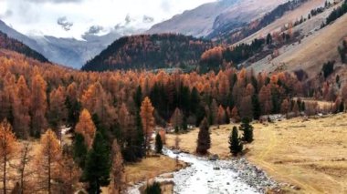Hava görüntüsü 4K Reveal Val Roseg sonbaharda, Pontresina, Engadina, İsviçre. 