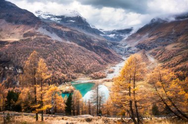 Mavi göl manzarası muhteşem. Sonbahar tarlası ve Alp dağları arasında. Alp Grum Gölü, Graubunden. İsviçre.