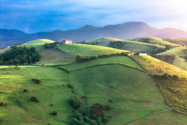 Zumaia, Bask ülkesi, Kuzey İspanya tepelerindeki yeşil tarlaların havadan görünüşü. 