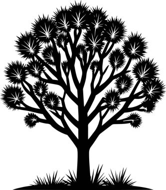 ceibo tree vector illustration clipart